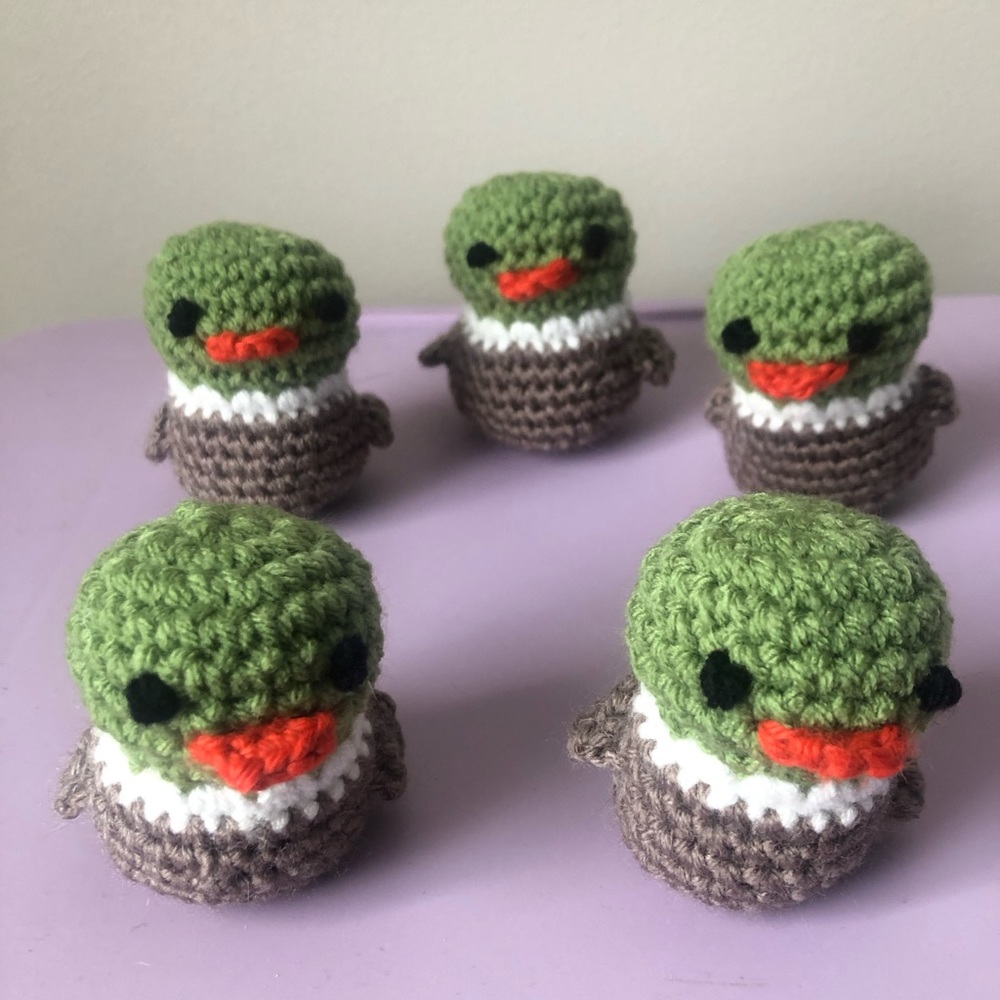 Mallards ducks